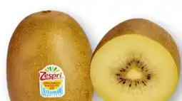 Scheck-in-Center Zespri Jumbo Kiwi Gold Angebot