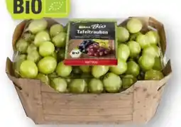 Scheck-in-Center Edeka Bio Bio-Trauben Angebot