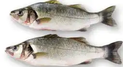 Scheck-in-Center Marinierte Wolfsbarsch Angebot