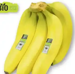 Scheck-in-Center Edeka Bio Bio-Bananen Angebot