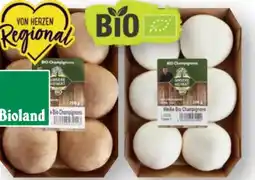 Scheck-in-Center Unsere Heimat Echt & gut Bio Bioland-Champignons Angebot