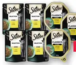 Scheck-in-Center Sheba Katzennahrung Angebot