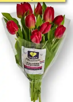 Edeka Edeka Herzstücke Tulpen Angebot