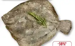 Edeka Steinbutt Angebot