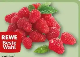 REWE Center Rewe Beste Wahl Frische Himbeeren Angebot