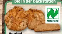 REWE Center Rewe Back-Station Hausbrot Emmer Angebot