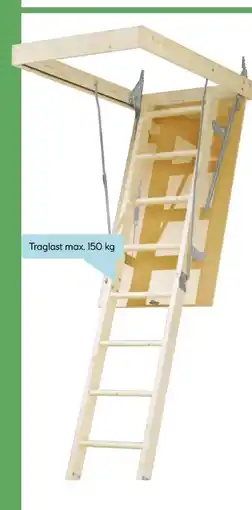 Hellweg Dolle Bodentreppe Pur Angebot