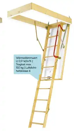 Hellweg Dolle Bodentreppe Isotrend Angebot