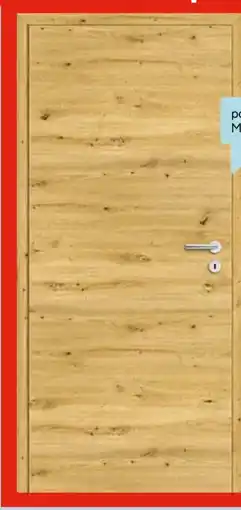 Hellweg Borne CPL-Zimmertür Angebot