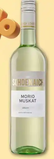 REWE Von Schönaich Morio-Muskat Angebot