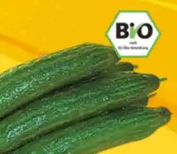 EDEKA Bandelt Bio-Gurke Angebot