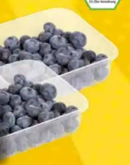 EDEKA Bandelt Bio Kulturheidelbeeren Angebot