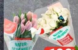 Edeka Frischemarkt Gut & Günstig Moosrosen Angebot