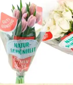 Edeka Gut & Günstig Moosrosen Angebot