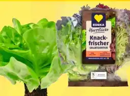 Edeka Edeka Herzstücke Ballensalat Mix Angebot