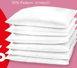 porta Centa-Star 3-Kammer-Kopfkissen Natural Down Angebot