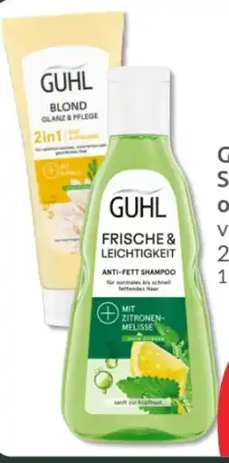Budni Guhl Shampoo Angebot
