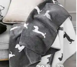 porta Done the Orange Difference Wohndecke Angebot