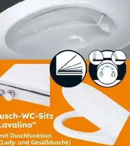 Globus Baumarkt Dusch-WC-Sitz Angebot