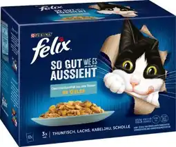 Globus Baumarkt Purina Felix Katzenfutter Angebot