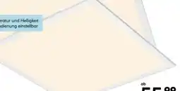 Hellweg Flector LED-Panel-Leuchte Lunaris Angebot