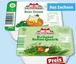 PENNY Sachsenland Sour Creme Quark Angebot