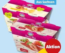 PENNY Sachsenmilch Unsere Minis Angebot