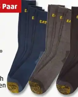 PENNY CAT Premium-Arbeitssocken 3 Paar Angebot