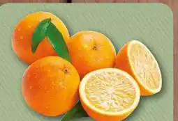 nahkauf Rewe Bio Orangen Angebot