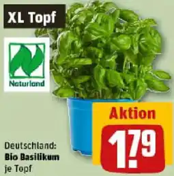 REWE Bio Basilikum Angebot