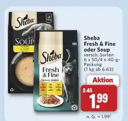 Combi Sheba fresh & fine Angebot