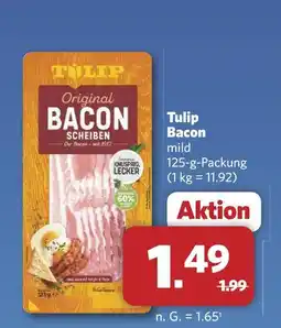 Combi Tulip bacon mild Angebot