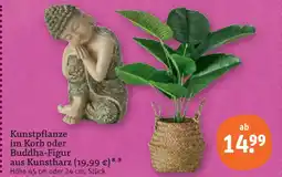 tegut Kunstpflanze im korb Angebot