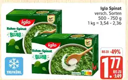 Marktkauf Iglo spinat Angebot