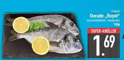 Edeka Frische Dorade Royal Angebot