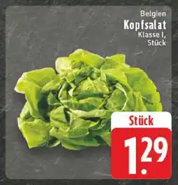 Edeka Belgien Kopfsalat Angebot