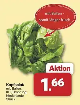 Famila Nord Ost Kopfsalat Angebot