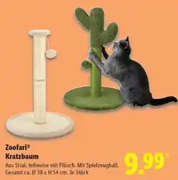Lidl zoofari Kratzbaum Angebot