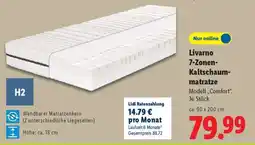 Lidl Livarno 7-Zonen-Kaltschaummatratze Angebot