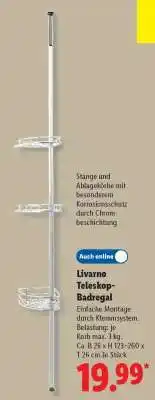 Lidl Livarno Teleskop-Badregal Angebot