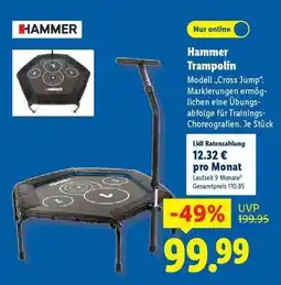 Lidl Hammer Trampolin Angebot