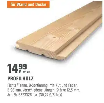 OBI Profilholz Angebot