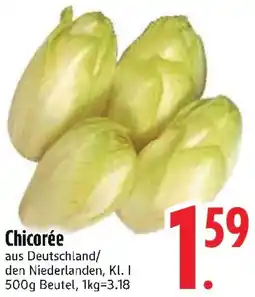 Edeka Chicorée Angebot