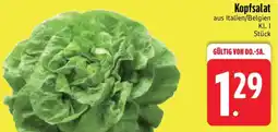 Edeka Kopfsalat Angebot