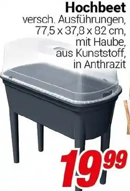CENTERSHOP Hochbeet Angebot