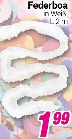 CENTERSHOP Federboa Angebot