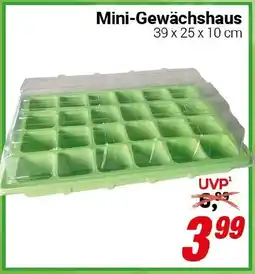 CENTERSHOP Mini-Gewächshaus Angebot
