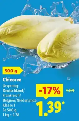 Lidl Chicoree Angebot