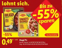 Lidl Maggi Fix Angebot