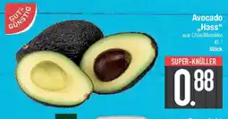 E-Center GUT & GUNSTIG Avocado ,,Hass" Angebot